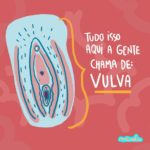 Vulva ilustração