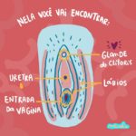 Ilustração da vulva